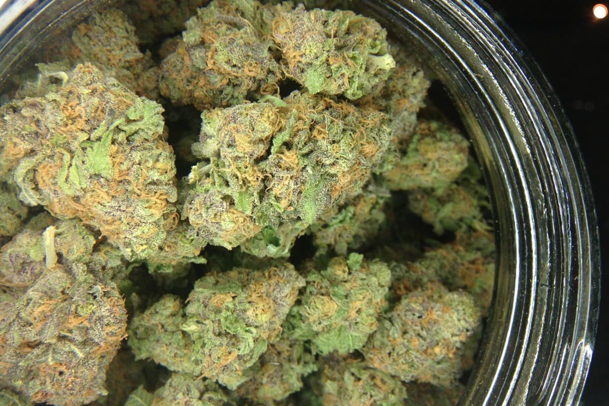 UK Weed Telegram Shop Trends and the Growing Online Cannabis Culture